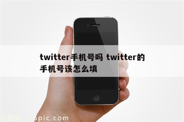twitter手机号吗 twitter的手机号该怎么填