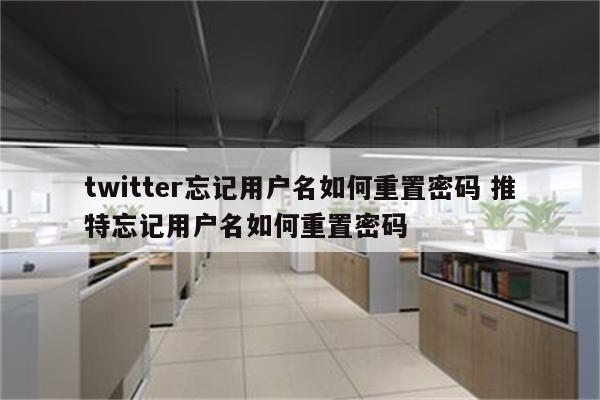 twitter忘记用户名如何重置密码 推特忘记用户名如何重置密码