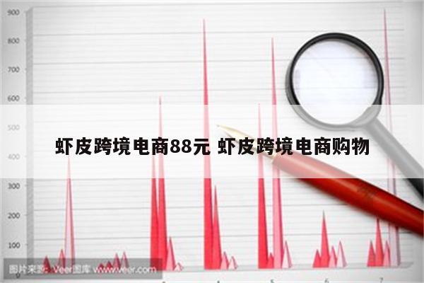 虾皮跨境电商88元 虾皮跨境电商购物