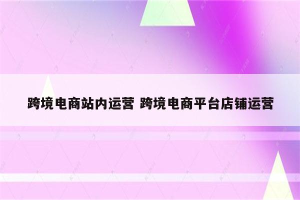 跨境电商站内运营 跨境电商平台店铺运营