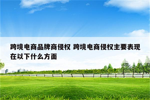 跨境电商品牌商侵权 跨境电商侵权主要表现在以下什么方面