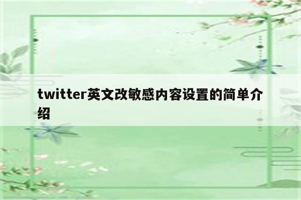 twitter英文改敏感内容设置的简单介绍