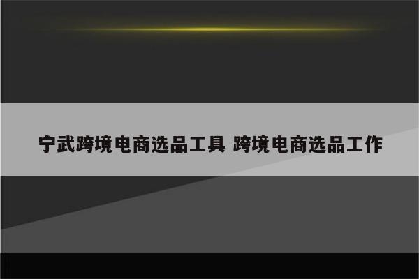 宁武跨境电商选品工具 跨境电商选品工作