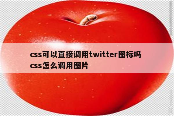 css可以直接调用twitter图标吗 css怎么调用图片