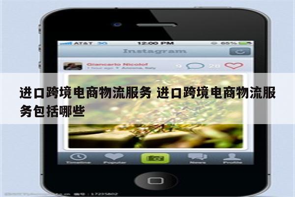 进口跨境电商物流服务 进口跨境电商物流服务包括哪些