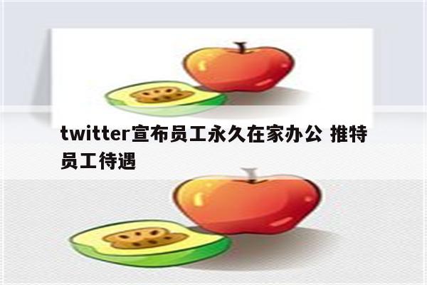 twitter宣布员工永久在家办公 推特员工待遇