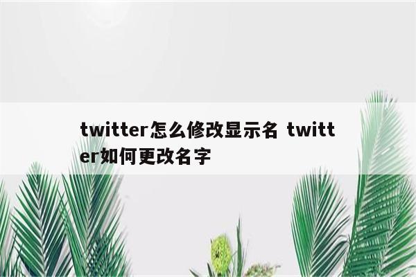 twitter怎么修改显示名 twitter如何更改名字