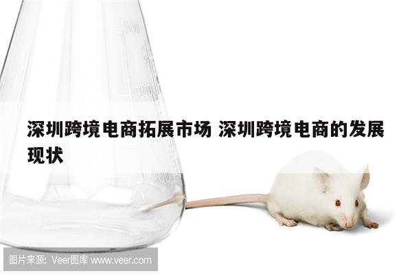 深圳跨境电商拓展市场 深圳跨境电商的发展现状