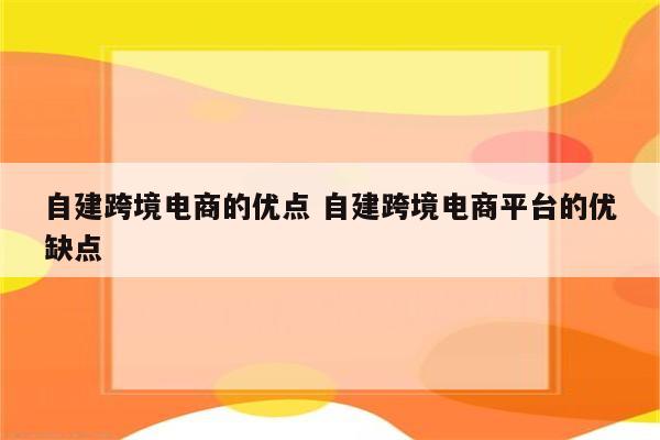 自建跨境电商的优点 自建跨境电商平台的优缺点