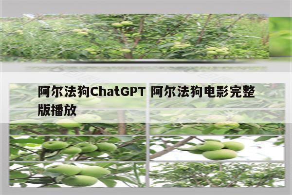 阿尔法狗ChatGPT 阿尔法狗电影完整版播放
