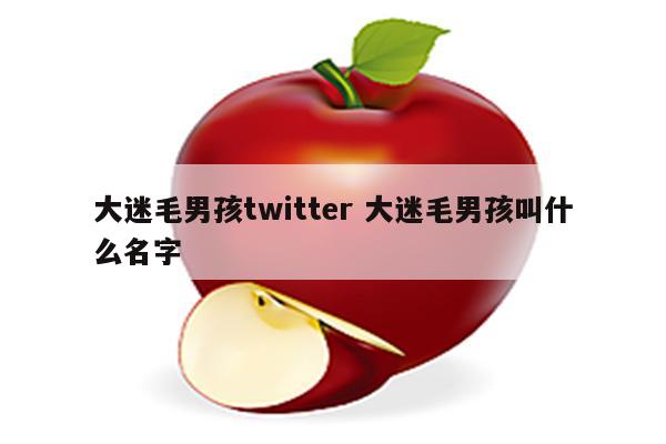 大迷毛男孩twitter 大迷毛男孩叫什么名字