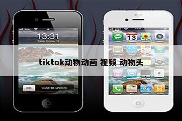 tiktok动物动画 视频 动物头
