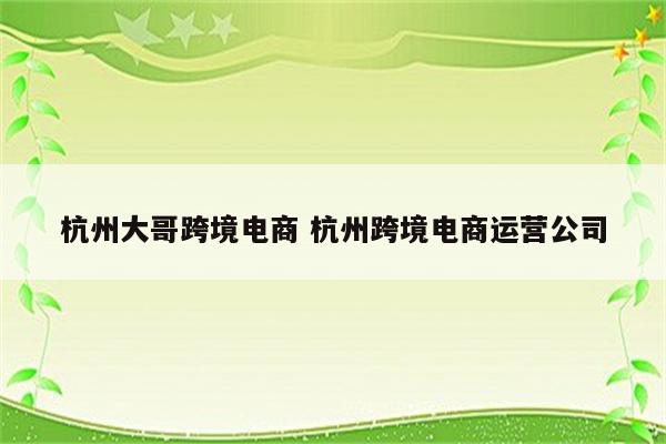 杭州大哥跨境电商 杭州跨境电商运营公司