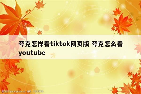 夸克怎样看tiktok网页版 夸克怎么看youtube