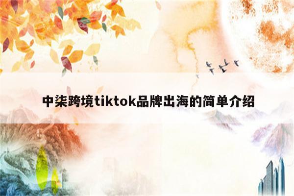 中柒跨境tiktok品牌出海的简单介绍