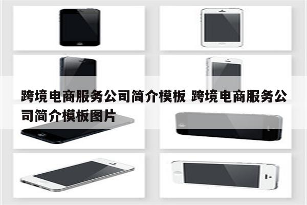 跨境电商服务公司简介模板 跨境电商服务公司简介模板图片