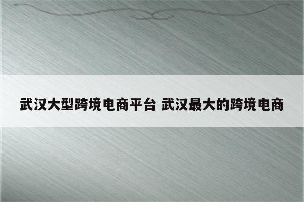 武汉大型跨境电商平台 武汉最大的跨境电商