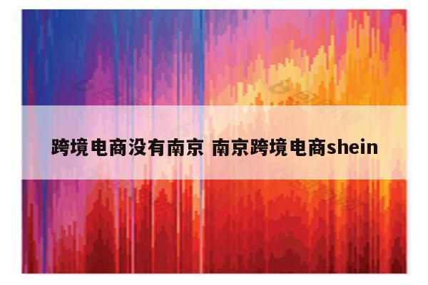 跨境电商没有南京 南京跨境电商shein