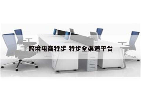 跨境电商特步 特步全渠道平台