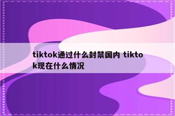 tiktok通过什么封禁国内 tiktok现在什么情况