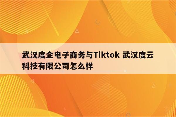 武汉度企电子商务与Tiktok 武汉度云科技有限公司怎么样
