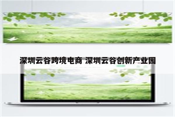 深圳云谷跨境电商 深圳云谷创新产业园