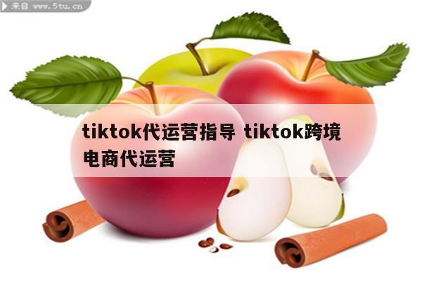 tiktok代运营指导 tiktok跨境电商代运营