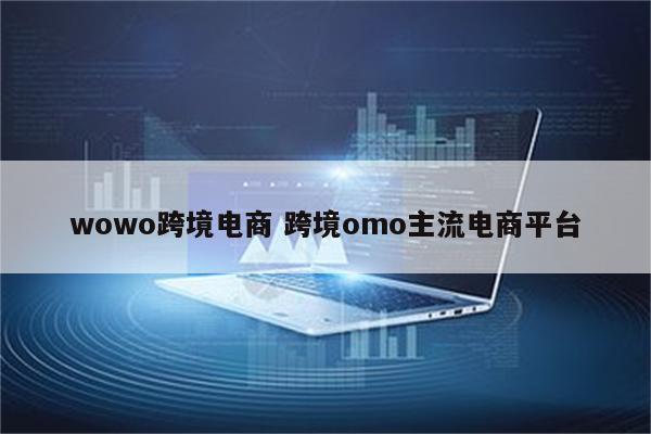 wowo跨境电商 跨境omo主流电商平台