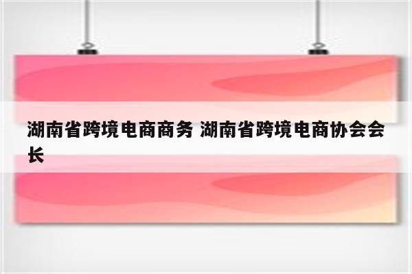 湖南省跨境电商商务 湖南省跨境电商协会会长