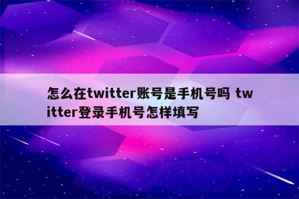 怎么在twitter账号是手机号吗 twitter登录手机号怎样填写