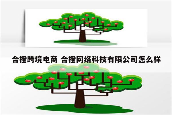 合橙跨境电商 合橙网络科技有限公司怎么样