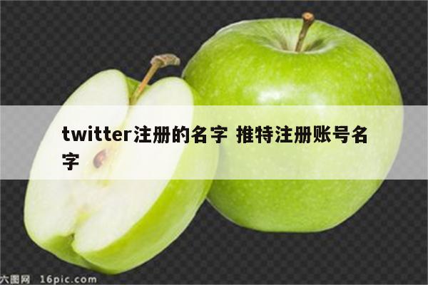 twitter注册的名字 推特注册账号名字