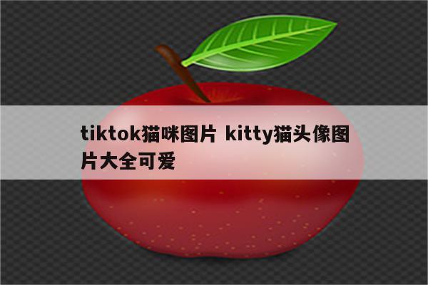 tiktok猫咪图片 kitty猫头像图片大全可爱