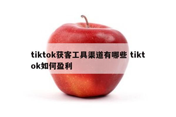 tiktok获客工具渠道有哪些 tiktok如何盈利