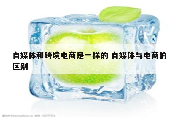 自媒体和跨境电商是一样的 自媒体与电商的区别