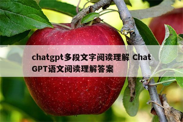 chatgpt多段文字阅读理解 ChatGPT语文阅读理解答案