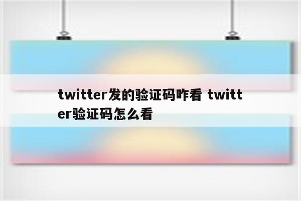 twitter发的验证码咋看 twitter验证码怎么看