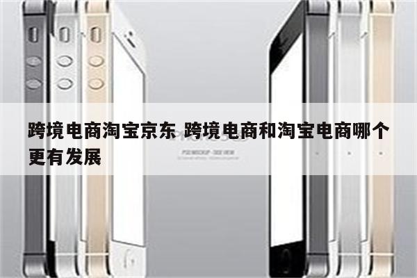 跨境电商淘宝京东 跨境电商和淘宝电商哪个更有发展