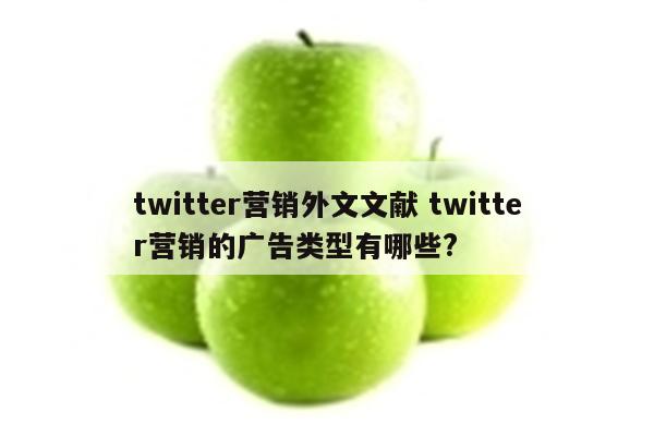 twitter营销外文文献 twitter营销的广告类型有哪些?