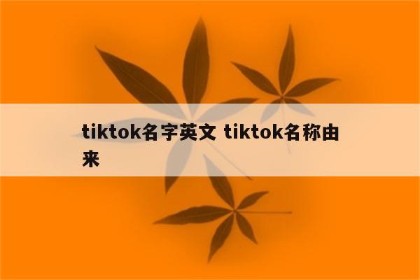 tiktok名字英文 tiktok名称由来
