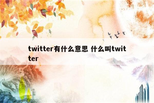 twitter有什么意思 什么叫twitter