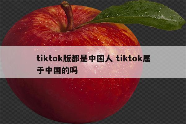 tiktok版都是中国人 tiktok属于中国的吗