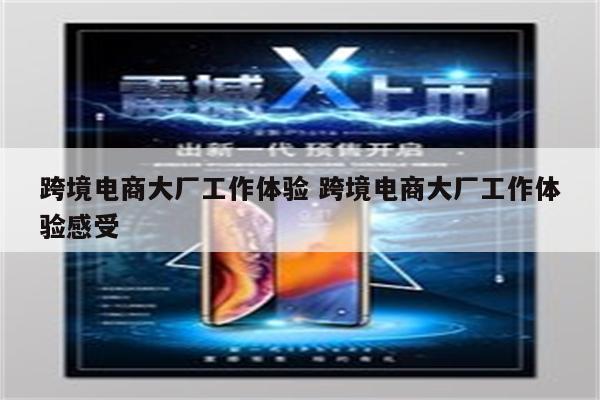 跨境电商大厂工作体验 跨境电商大厂工作体验感受