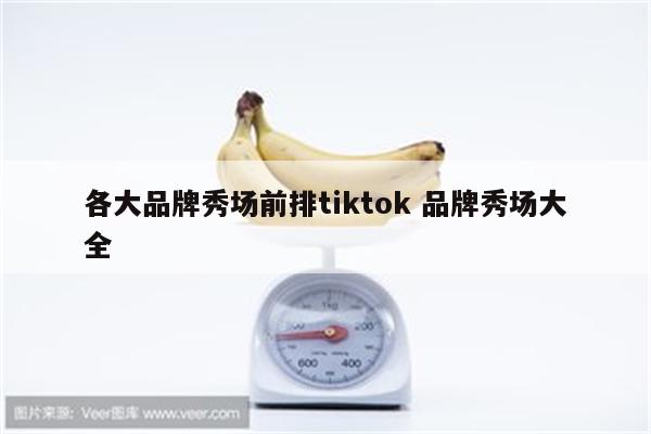 各大品牌秀场前排tiktok 品牌秀场大全