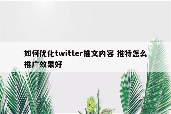 如何优化twitter推文内容 推特怎么推广效果好