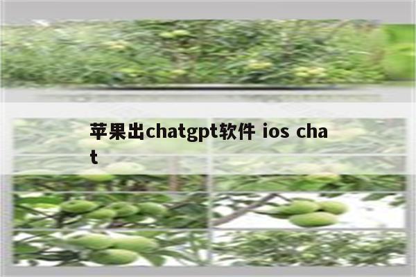苹果出chatgpt软件 ios chat