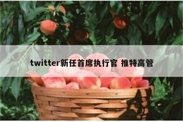 twitter新任首席执行官 推特高管