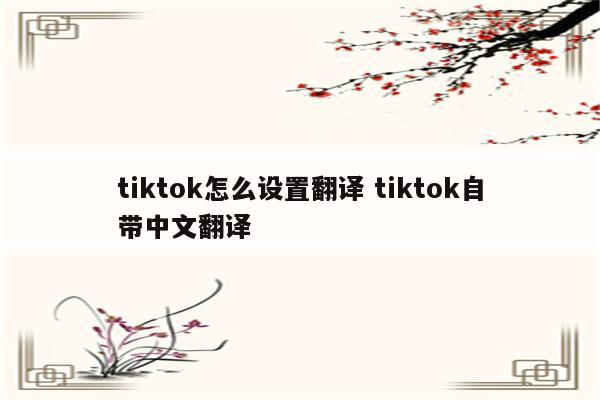 tiktok怎么设置翻译 tiktok自带中文翻译