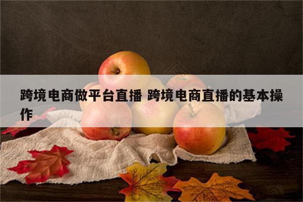 跨境电商做平台直播 跨境电商直播的基本操作