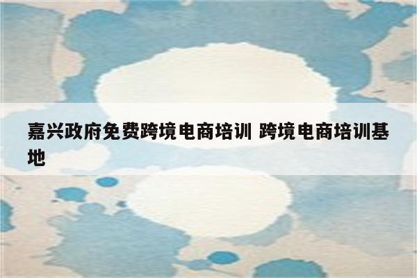 嘉兴政府免费跨境电商培训 跨境电商培训基地